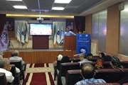 پاسخ به سوالات بیماران دیابتی در همایش مردمی آموزش دیابت در کیش 